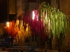 trees-with-color